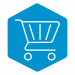 eCommerce & POS Services